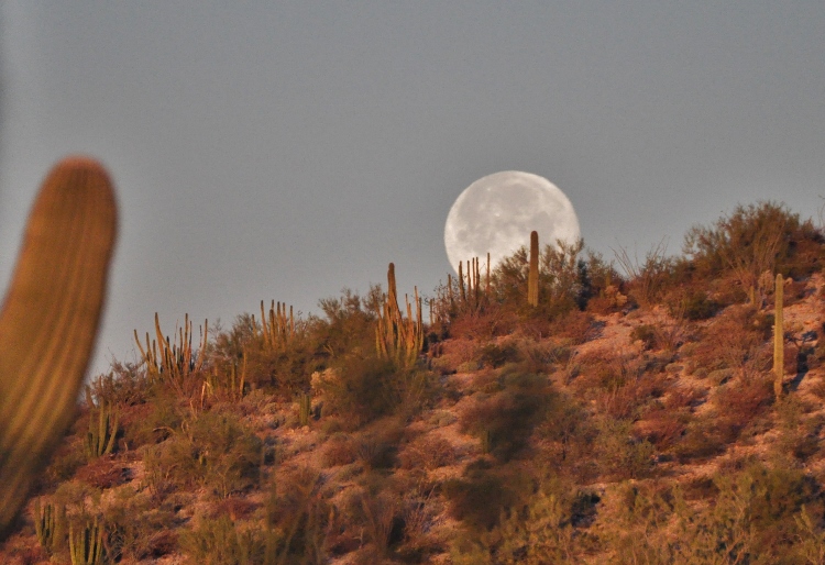 moonset